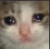 sad_cat