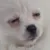 pugA pugA