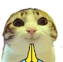 catdorime