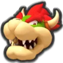 Bowser Bowser
