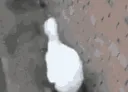onmyway onmyway