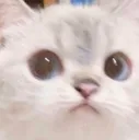 Stare
