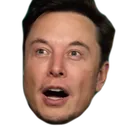ElonWoah