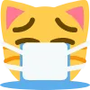g_cryingmaskcat Discord Emoji