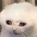 Cri