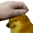 heisenpat_hh