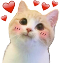 MS_CatLuv Discord emoji