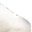 bigsucklet2 bigsucklet2