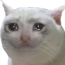 SOSadCat
