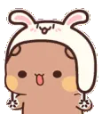 HatWiggle HatWiggle