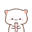 nyaILY