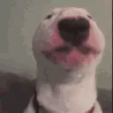 waltervibe waltervibe