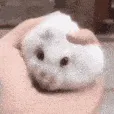 myballs