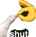 shut
