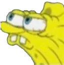 spongesquint