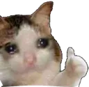 cryokcat cryokcat