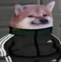 russianDoggo