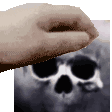 CPet Discord emoji