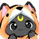 ClumsyCatObserve_2