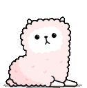 chipllama