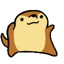 rudicoDonce