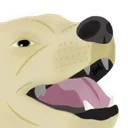 9VickyDogkek 9VickyDogkek