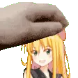msBroccoPet