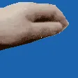 bluelyPet