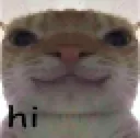 hi