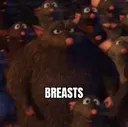 breasts