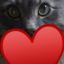 BlueHeart