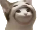 792014502497091624