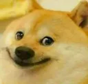 sosigdoog