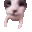 cat_kissy
