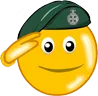 raidsalute