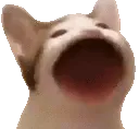 LOL