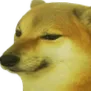 Cheems