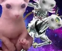 bingusinheaven