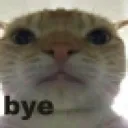 bye bye