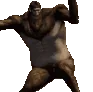 SNOzekedance