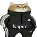 napim
