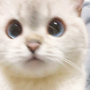 MS_What Discord emoji
