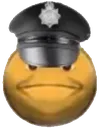 frcop