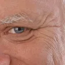 harold2