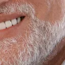 harold4