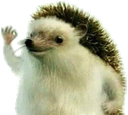 hahayes Discord emoji