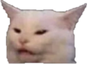 catty Discord emoji