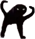 CatWeird