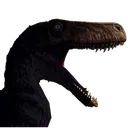 herreroar