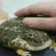 frogPet